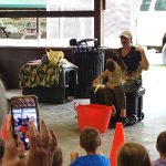 article image - Carnegie 1